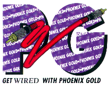 PG Wired Logo (23k)
