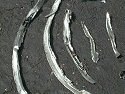 Junk in oil pan