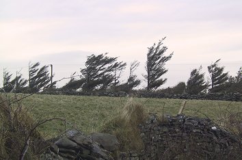 Windy (23k)