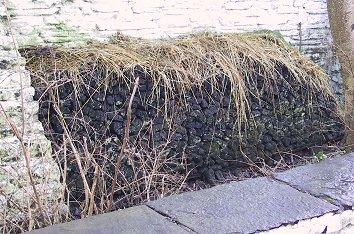 Turf (37k)