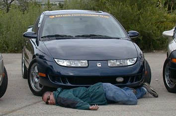 Road kill (28k)